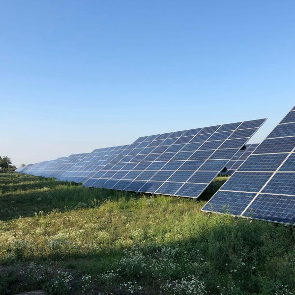 Teralink ngo solutions 12 600x600